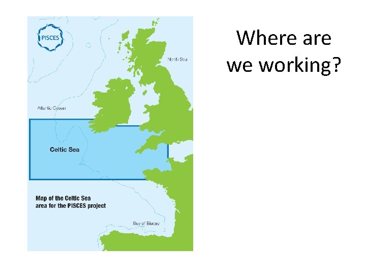 Celtic Sea sub-region Where are we working? 