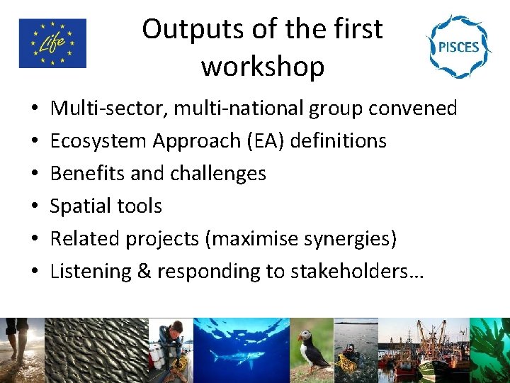 Outputs of the first workshop • • • Multi-sector, multi-national group convened Ecosystem Approach