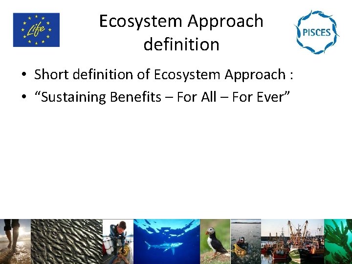 Ecosystem Approach definition • Short definition of Ecosystem Approach : • “Sustaining Benefits –