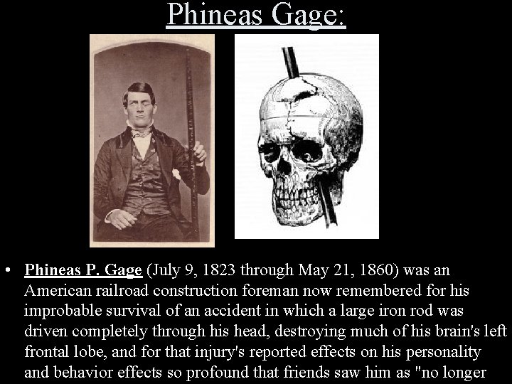 Phineas Gage: • Phineas P. Gage (July 9, 1823 through May 21, 1860) was