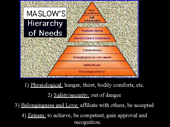 1) Physiological: hunger, thirst, bodily comforts, etc. 2) Safety/security: out of danger 3) Belongingness