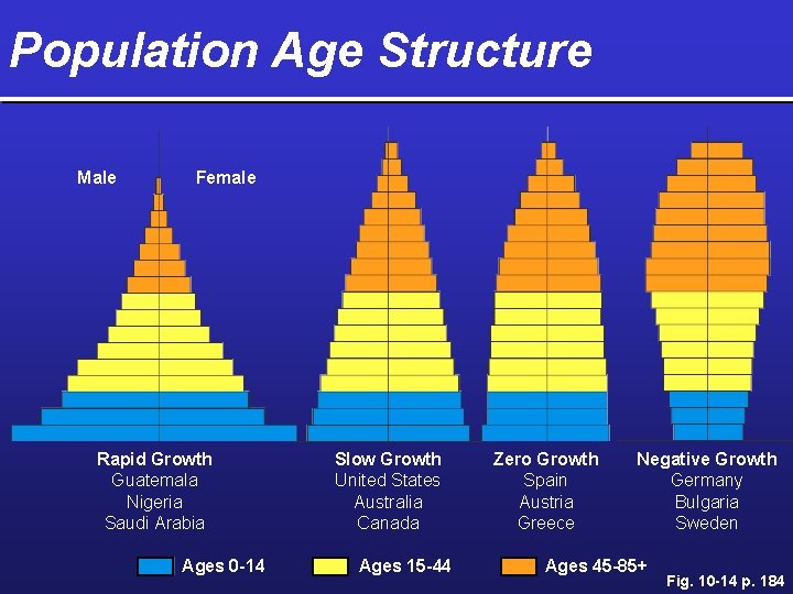 Population Age Structure Male Female Rapid Growth Guatemala Nigeria Saudi Arabia Ages 0 -14