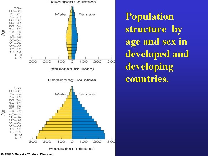 Population structure by age and sex in developed and developing countries. 