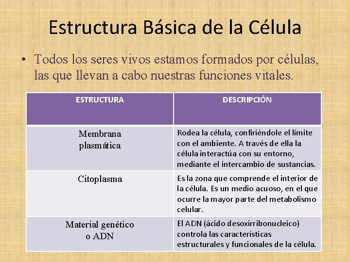 Estructura Básica de la Célula • Todos los seres vivos estamos formados por células,