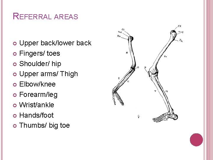 REFERRAL AREAS Upper back/lower back Fingers/ toes Shoulder/ hip Upper arms/ Thigh Elbow/knee Forearm/leg