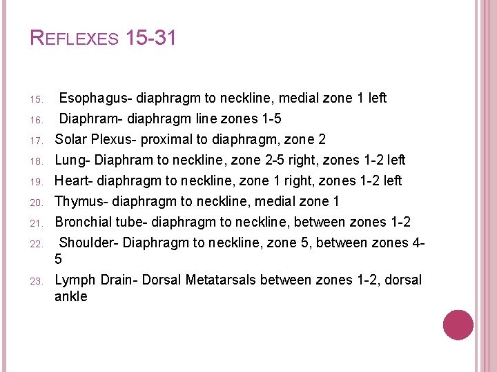 REFLEXES 15 -31 15. 16. 17. 18. 19. 20. 21. 22. 23. Esophagus- diaphragm