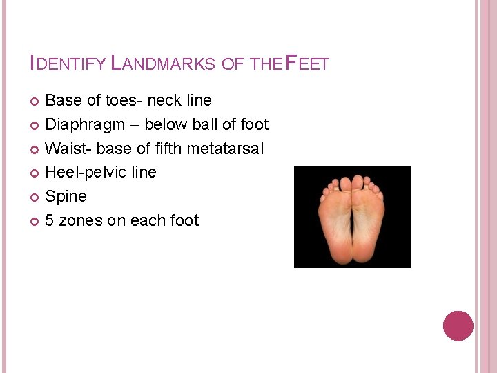 IDENTIFY LANDMARKS OF THE FEET Base of toes- neck line Diaphragm – below ball