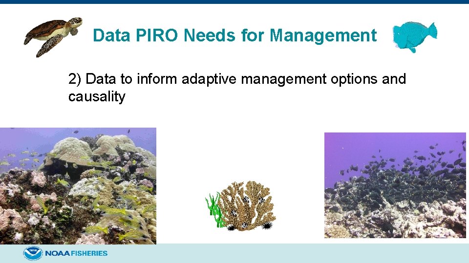 Data PIRO Needs for Management 2) Data to inform adaptive management options and causality