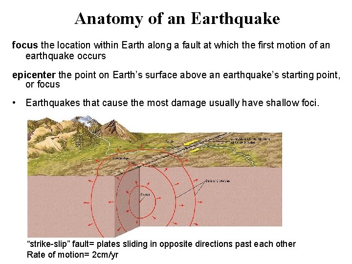 Anatomy of an Earthquake focus the location within Earth along a fault at which