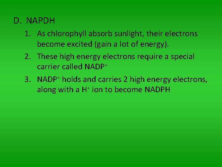 D. NAPDH 1. As chlorophyll absorb sunlight, their electrons become excited (gain a lot