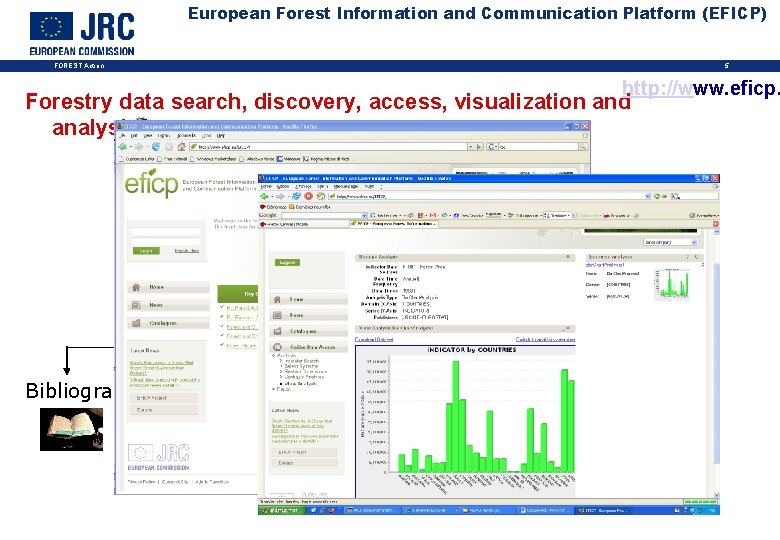 European Forest Information and Communication Platform (EFICP) 5 FOREST Action http: //www. eficp. Forestry