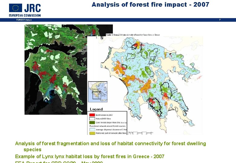 Analysis of forest fire impact - 2007 FOREST Action Analysis of forest fragmentation and