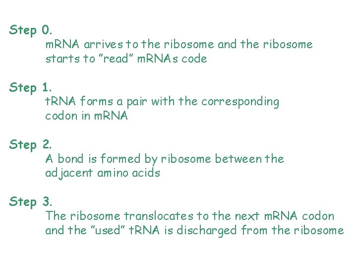 Step 0. m. RNA arrives to the ribosome and the ribosome starts to ”read”