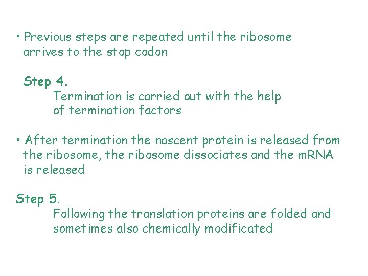  • Previous steps are repeated until the ribosome arrives to the stop codon