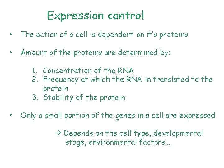 Expression control • The action of a cell is dependent on it’s proteins •