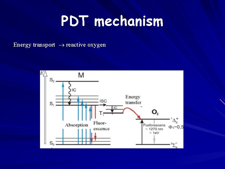 PDT mechanism Energy transport reactive oxygen 