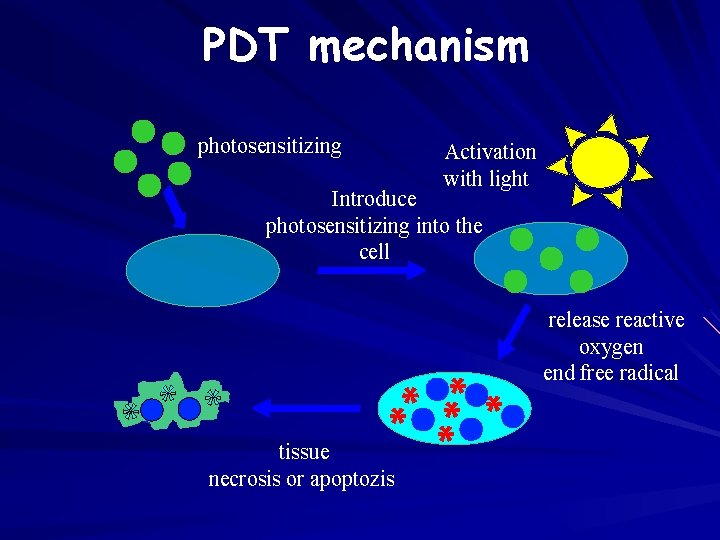 PDT mechanism photosensitizing Activation with light Introduce photosensitizing into the cell release reactive oxygen
