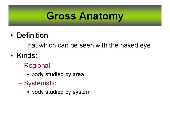 Gross Anatomy • Definition: – That which can be seen with the naked eye Gross Anatomy • Definition: – That which can be seen with the naked eye