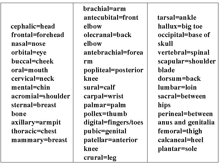 cephalic=head frontal=forehead nasal=nose orbital=eye buccal=cheek oral=mouth cervical=neck mental=chin acromial=shoulder sternal=breast bone axillary=armpit thoracic=chest mammary=breast