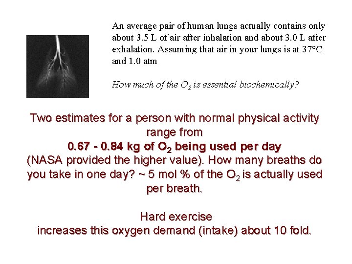 An average pair of human lungs actually contains only about 3. 5 L of