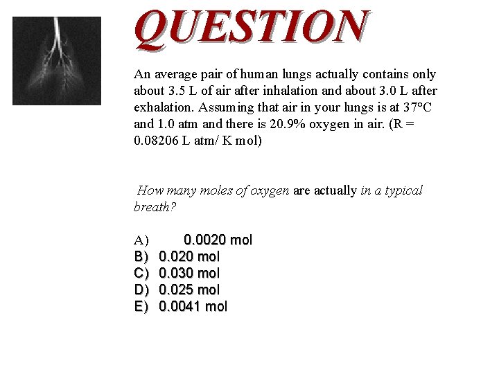 QUESTION An average pair of human lungs actually contains only about 3. 5 L