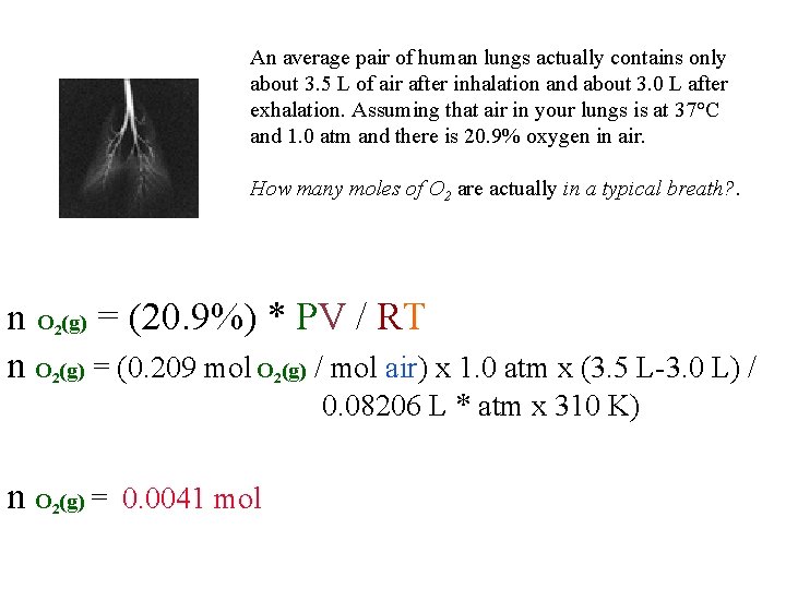 An average pair of human lungs actually contains only about 3. 5 L of