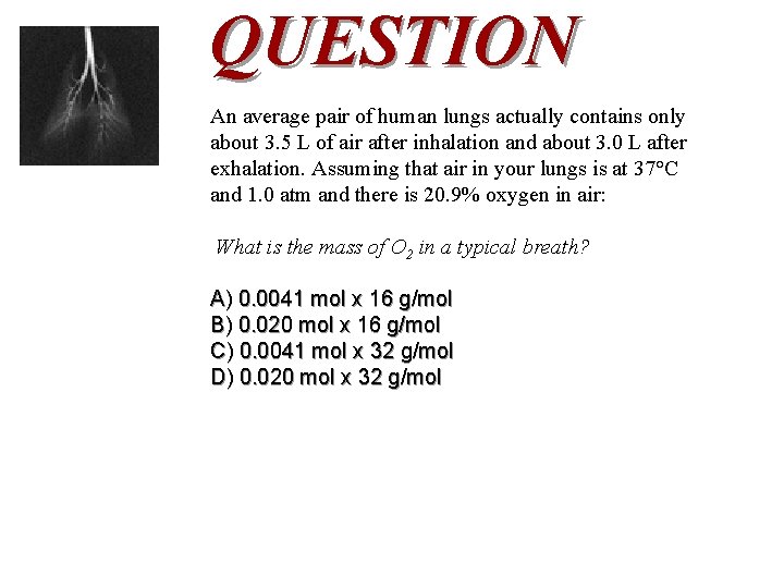 QUESTION An average pair of human lungs actually contains only about 3. 5 L