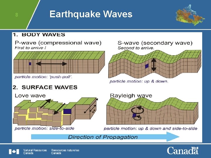 8 Earthquake Waves 
