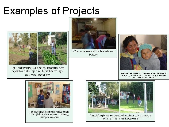 Examples of Projects 