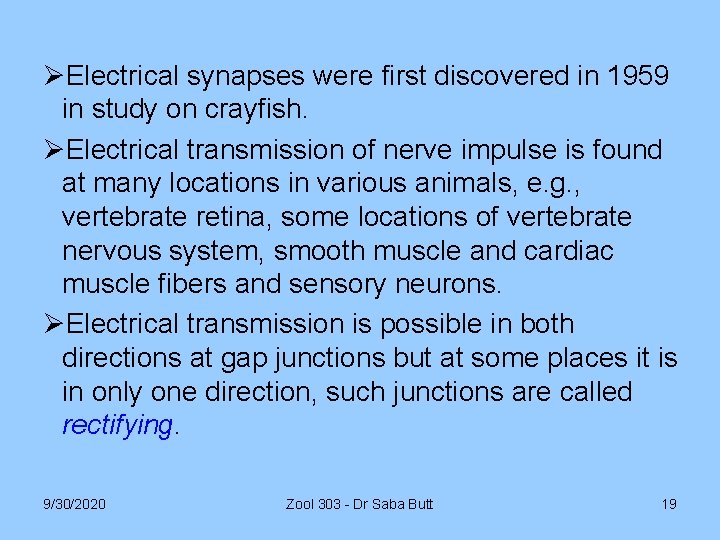 ØElectrical synapses were first discovered in 1959 in study on crayfish. ØElectrical transmission of