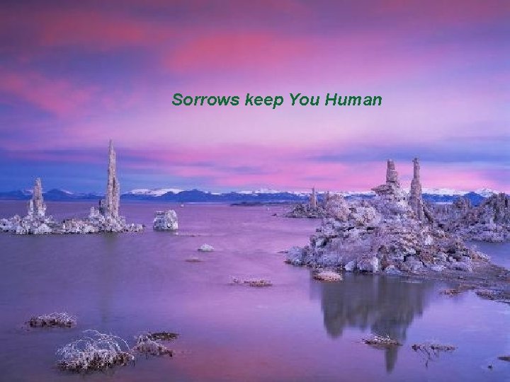 Sorrows keep You Human 