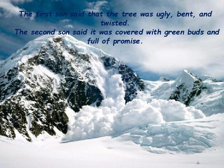 The first son said that the tree was ugly, bent, and twisted. The second