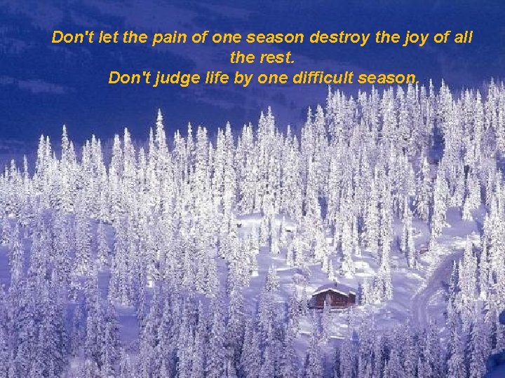 Don't let the pain of one season destroy the joy of all the rest.