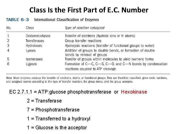 Class Is the First Part of E. C. Number EC 2. 7. 1. 1