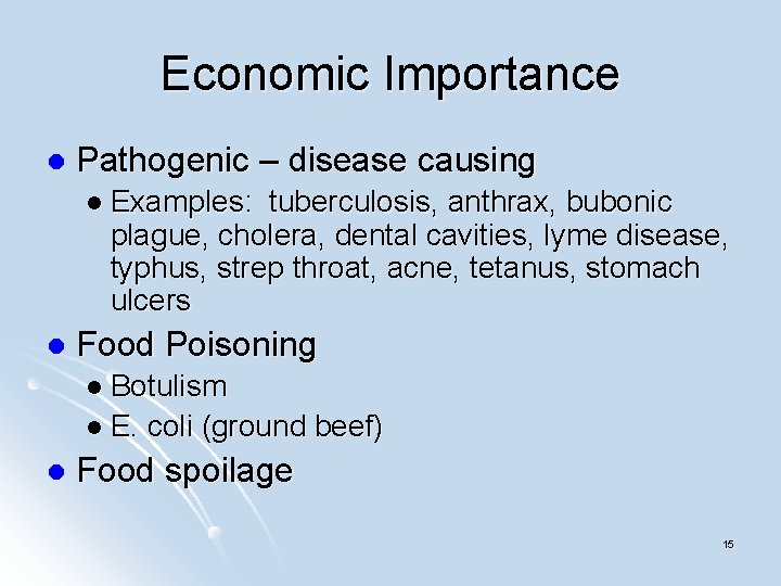 Economic Importance l Pathogenic – disease causing l Examples: tuberculosis, anthrax, bubonic plague, cholera,