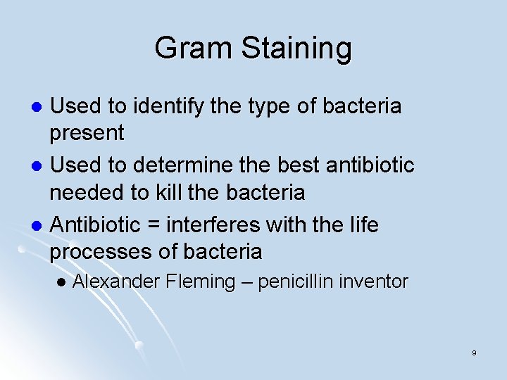 Gram Staining Used to identify the type of bacteria present l Used to determine