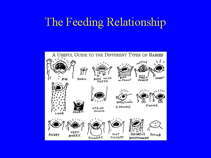 The Feeding Relationship 