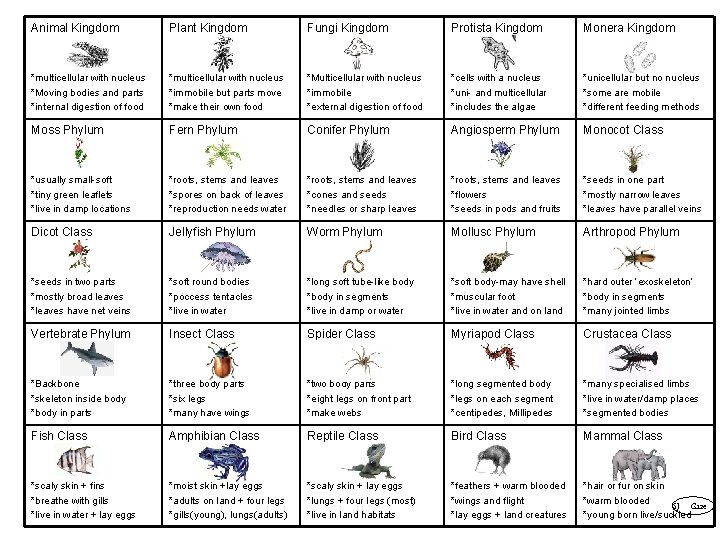 Animal Kingdom Plant Kingdom Fungi Kingdom Protista Kingdom Monera Kingdom *multicellular with nucleus *Moving