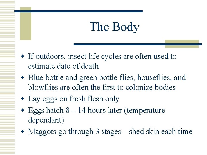 The Body w If outdoors, insect life cycles are often used to estimate date