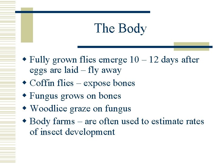 The Body w Fully grown flies emerge 10 – 12 days after eggs are