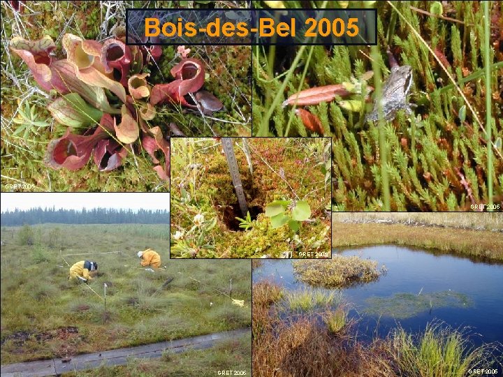 Bois-des-Bel 2005 GRET 2006 GRET 2005 