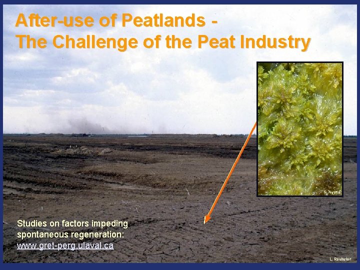 After-use of Peatlands The Challenge of the Peat Industry ? ? G. Ayotte Studies