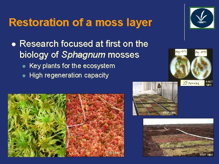 Restoration of a moss layer l Research focused at first on the biology of