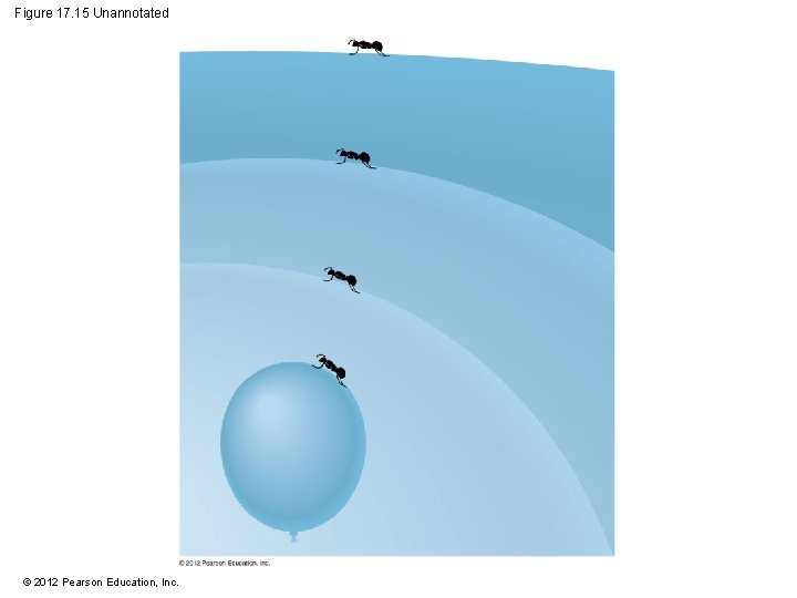 Figure 17. 15 Unannotated © 2012 Pearson Education, Inc. 