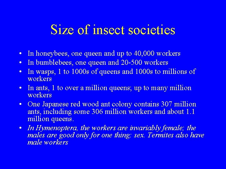 Size of insect societies • In honeybees, one queen and up to 40, 000