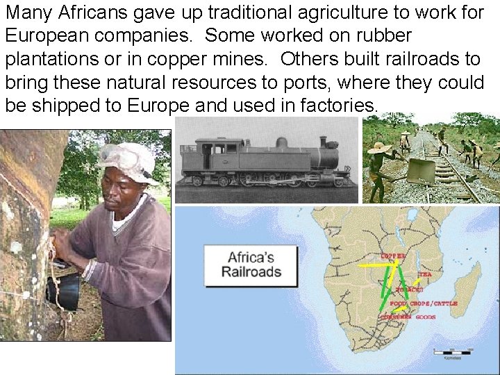Many Africans gave up traditional agriculture to work for European companies. Some worked on