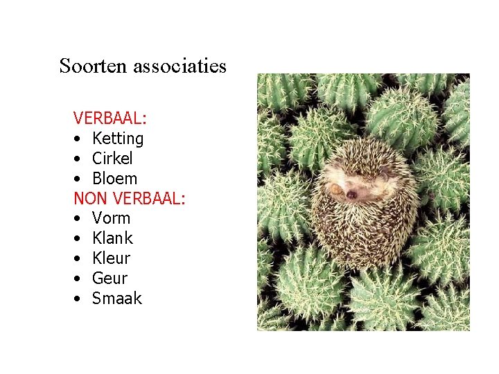 Soorten associaties VERBAAL: • Ketting • Cirkel • Bloem NON VERBAAL: • Vorm •