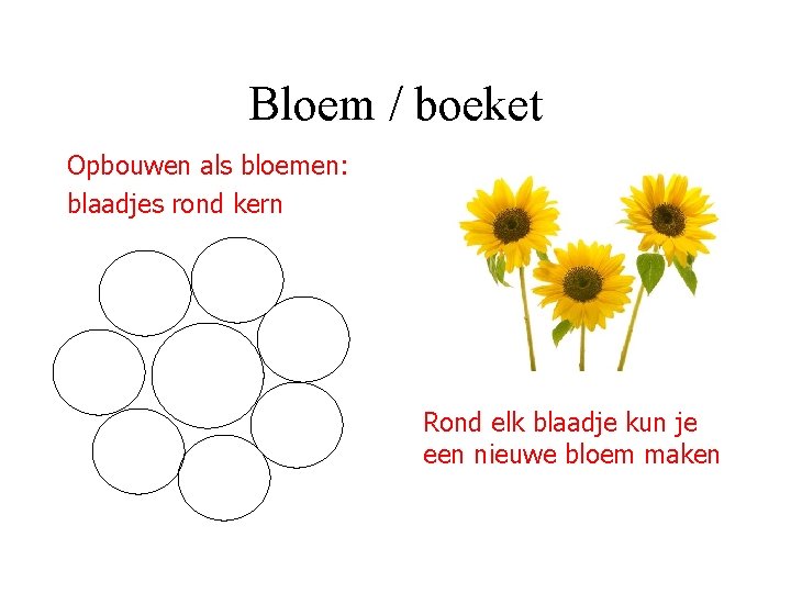 Bloem / boeket Opbouwen als bloemen: blaadjes rond kern Rond elk blaadje kun je