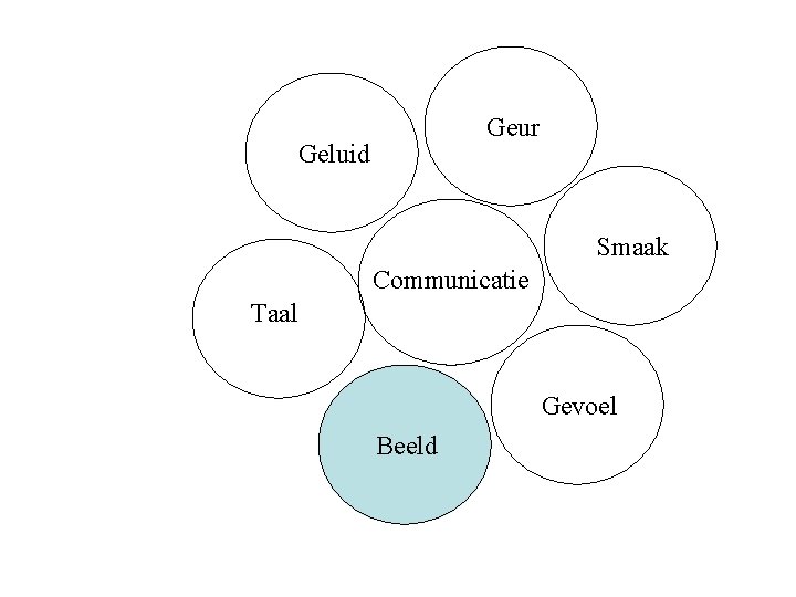 Geur Geluid Smaak Communicatie Taal Gevoel Beeld 