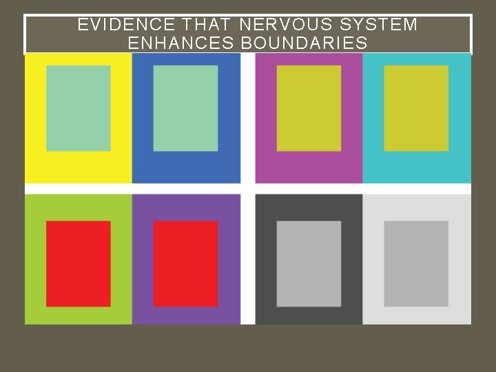 EVIDENCE THAT NERVOUS SYSTEM ENHANCES BOUNDARIES 